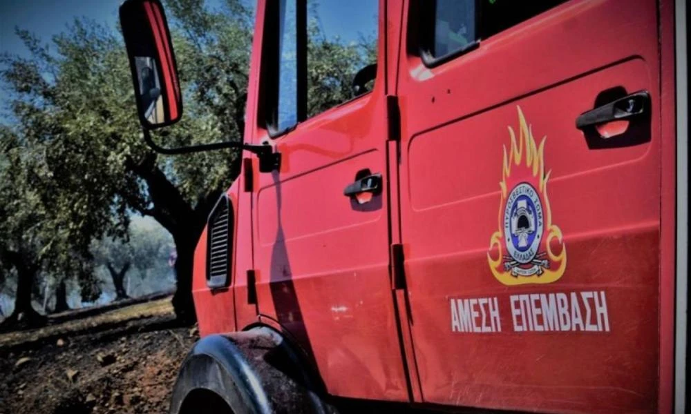 Σκόπελος: Πυρκαγιά ξέσπασε μετά από κεραυνό στην περιοχή Πούντα